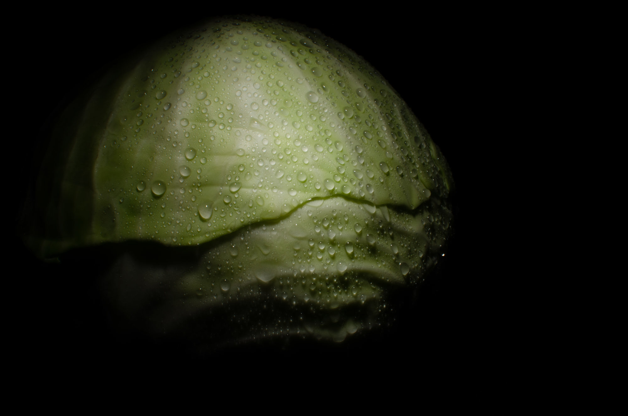 Verza Savoy Cabbage